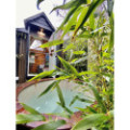 Ø100cm Round cold plunge tub /  bath for cold water therapy