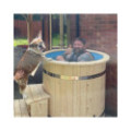 Ø100cm Round cold plunge tub /  bath for cold water therapy