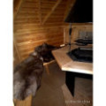 Exclusive BBQ Hut 7m² – Grill Cabin