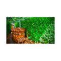 1.10×1.60cm OVAL Hottub with intside heater