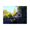 Exclusive BBQ Hut 9,2m² with 2m Extension – Grill Cabin